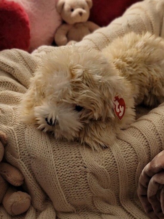 Ty Other - TY 2001 Jenkins Fuzzy Dog 13.5"